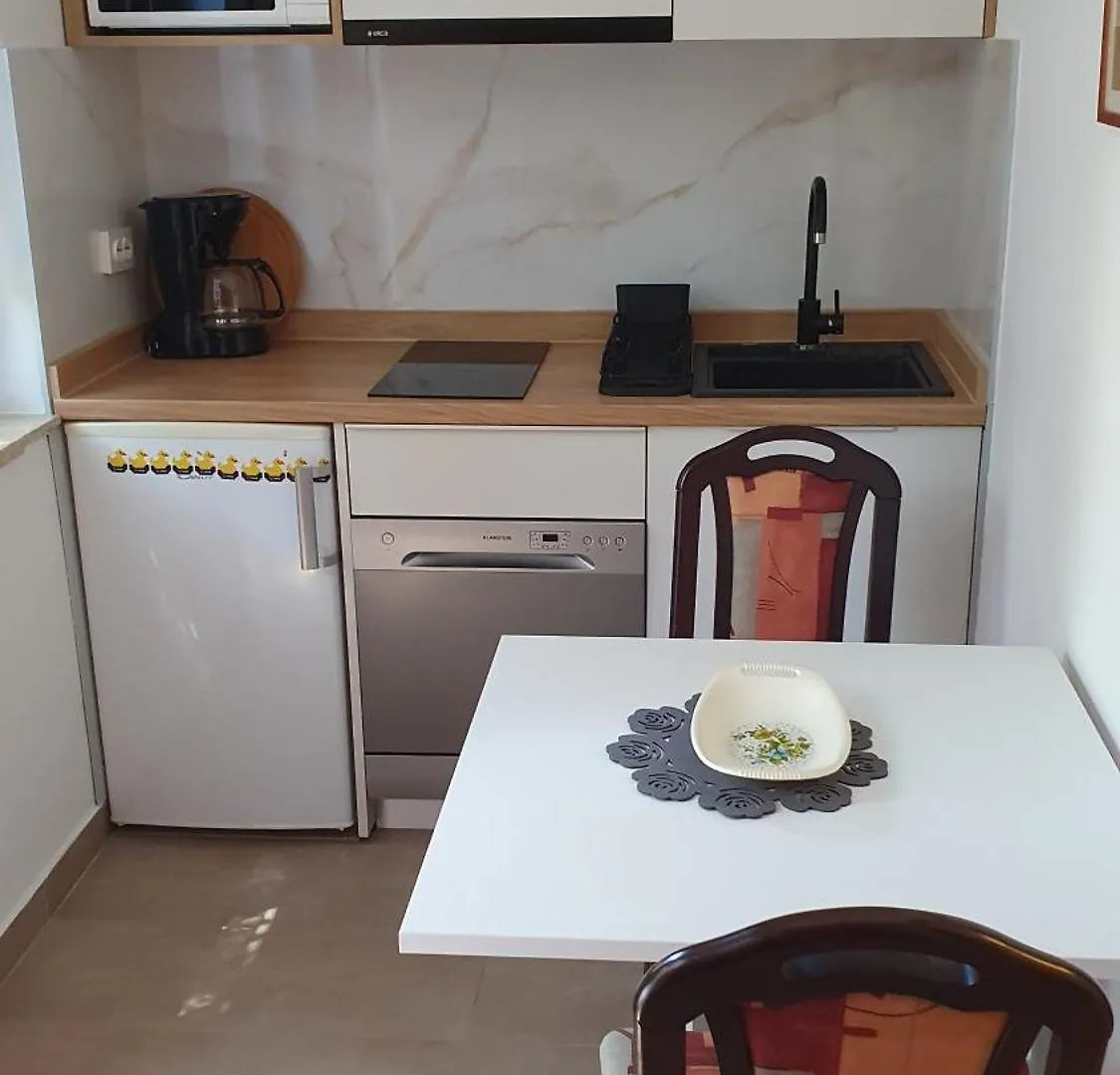 Apartment Rakic Pomer 0*,