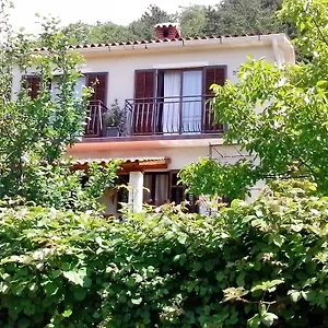 Vista Apartment
